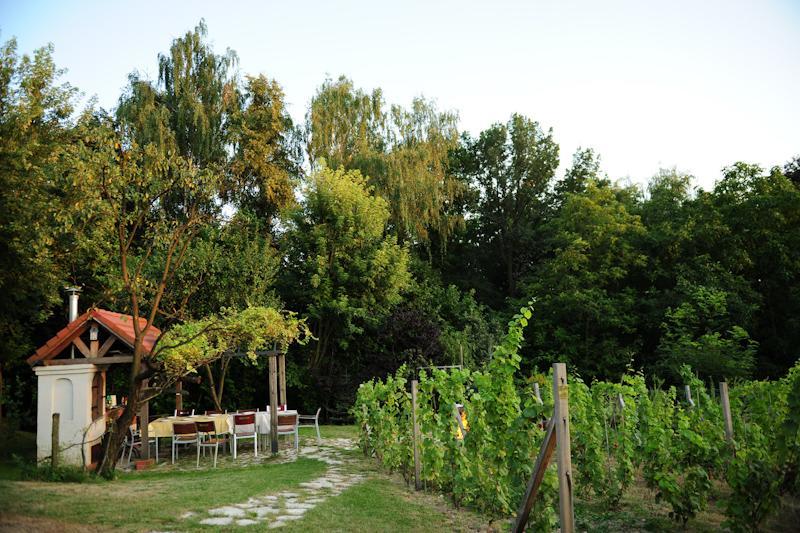 Apartamenty Nadedworce Kazimierz Dolny Ruang foto